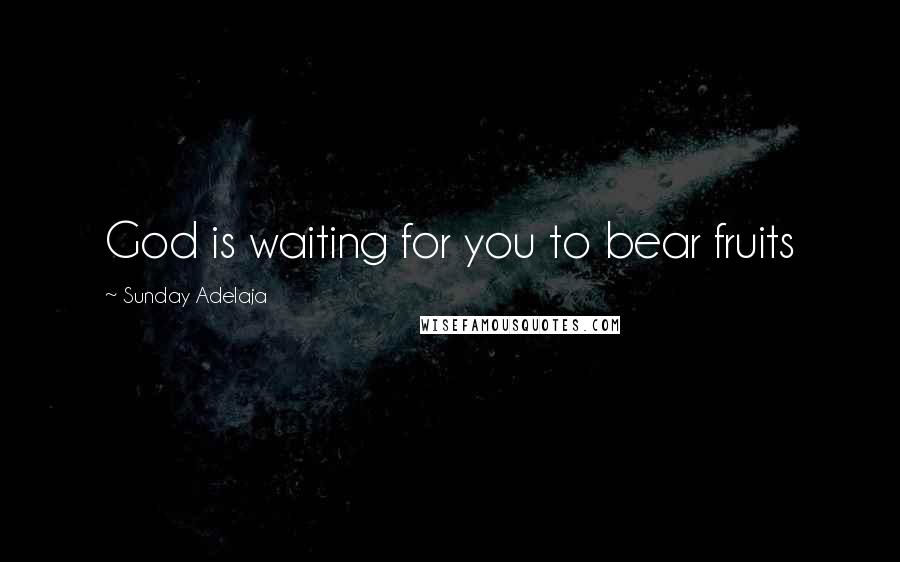 Sunday Adelaja Quotes: God is waiting for you to bear fruits