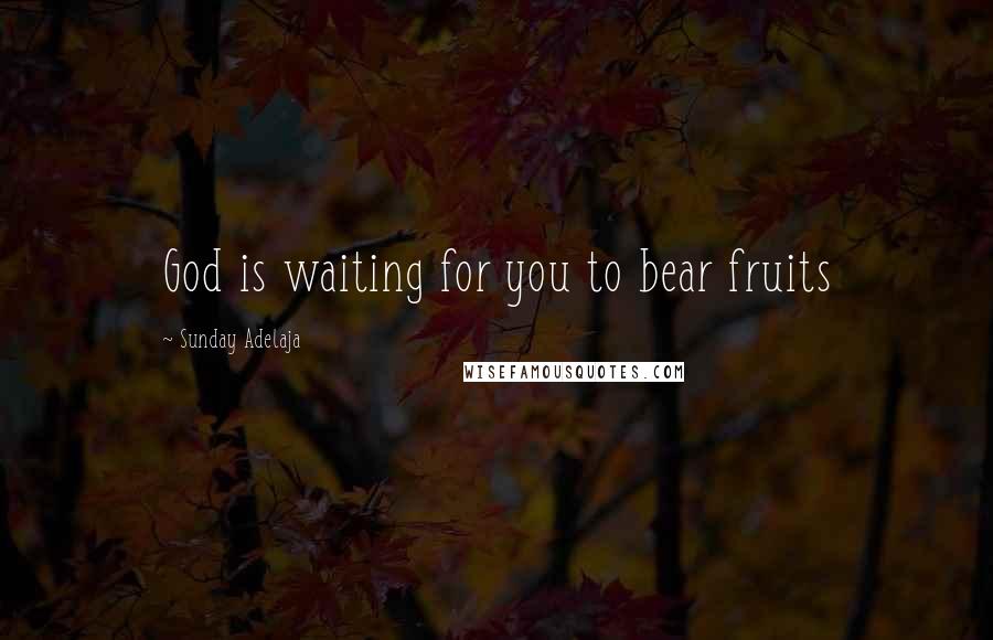 Sunday Adelaja Quotes: God is waiting for you to bear fruits