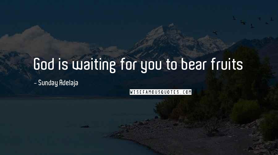 Sunday Adelaja Quotes: God is waiting for you to bear fruits