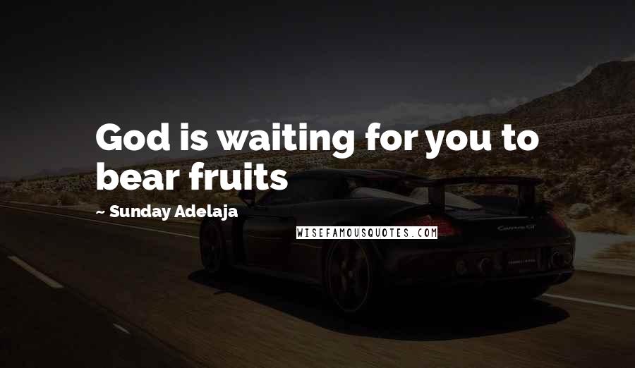 Sunday Adelaja Quotes: God is waiting for you to bear fruits