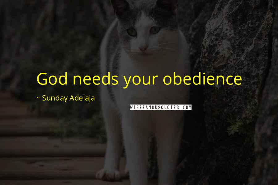 Sunday Adelaja Quotes: God needs your obedience