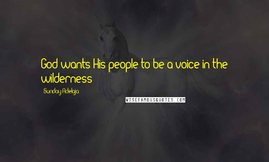 Sunday Adelaja Quotes: God wants His people to be a voice in the wilderness