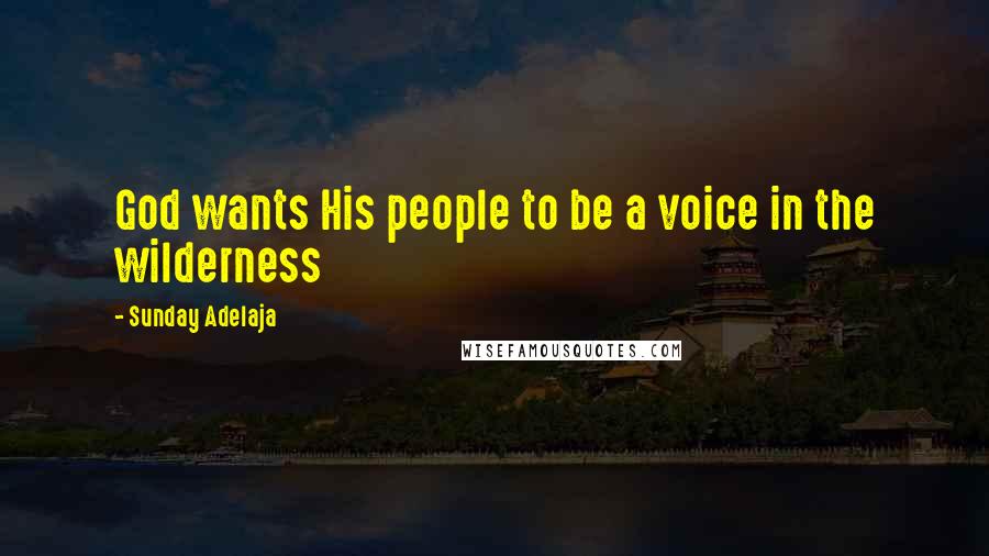 Sunday Adelaja Quotes: God wants His people to be a voice in the wilderness