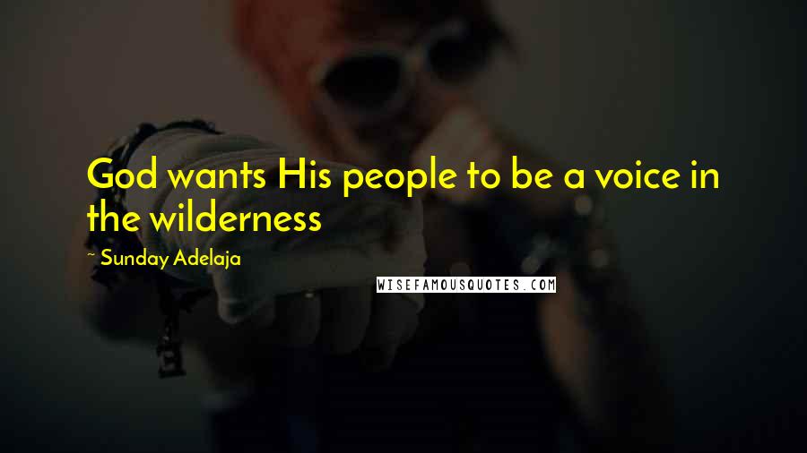 Sunday Adelaja Quotes: God wants His people to be a voice in the wilderness