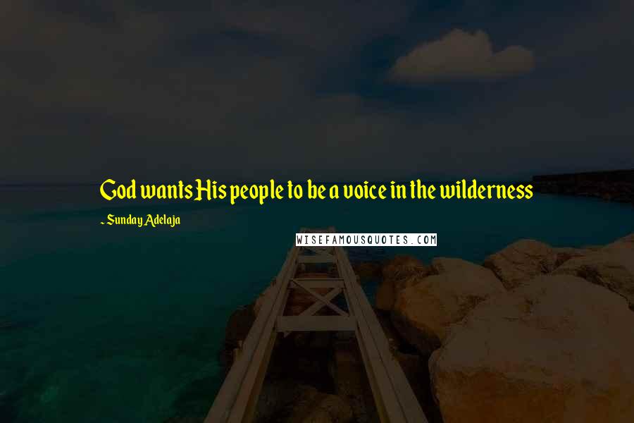 Sunday Adelaja Quotes: God wants His people to be a voice in the wilderness