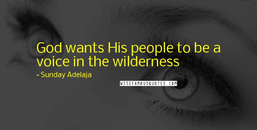 Sunday Adelaja Quotes: God wants His people to be a voice in the wilderness