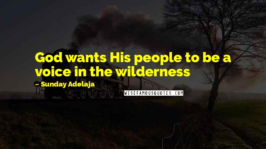 Sunday Adelaja Quotes: God wants His people to be a voice in the wilderness