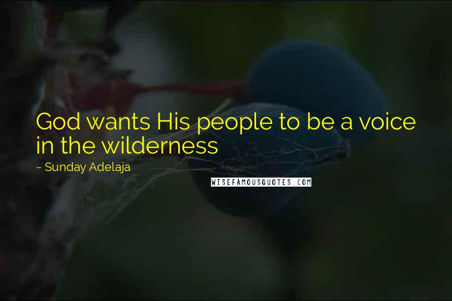 Sunday Adelaja Quotes: God wants His people to be a voice in the wilderness