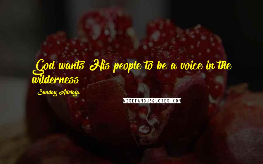 Sunday Adelaja Quotes: God wants His people to be a voice in the wilderness