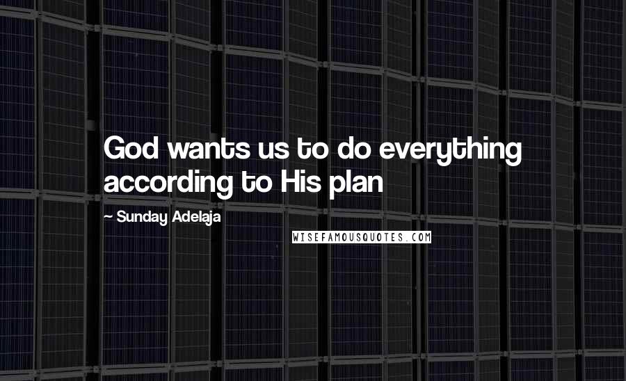 Sunday Adelaja Quotes: God wants us to do everything according to His plan