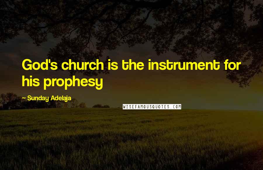 Sunday Adelaja Quotes: God's church is the instrument for his prophesy