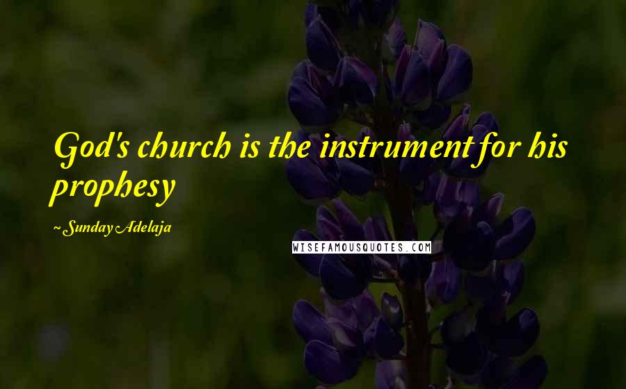 Sunday Adelaja Quotes: God's church is the instrument for his prophesy