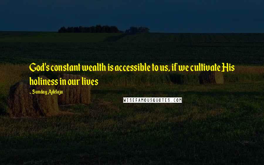 Sunday Adelaja Quotes: God's constant wealth is accessible to us, if we cultivate His holiness in our lives