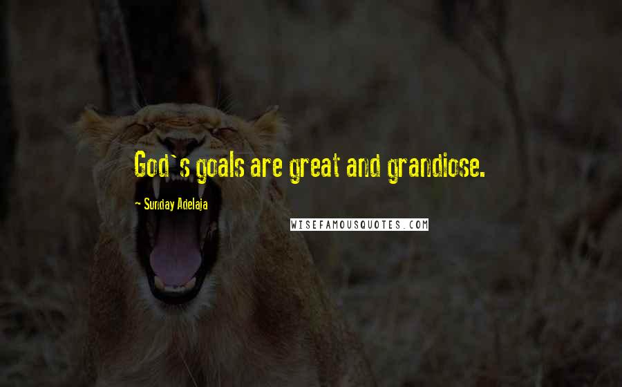 Sunday Adelaja Quotes: God's goals are great and grandiose.