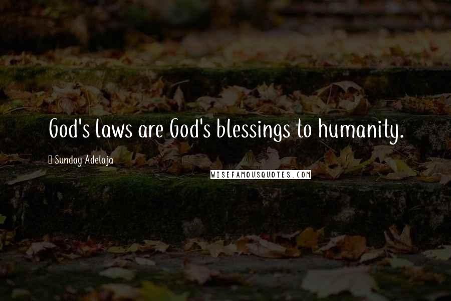 Sunday Adelaja Quotes: God's laws are God's blessings to humanity.