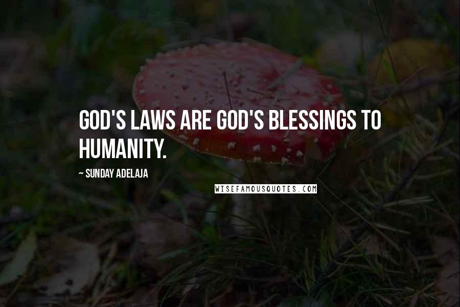 Sunday Adelaja Quotes: God's laws are God's blessings to humanity.