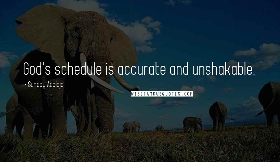 Sunday Adelaja Quotes: God's schedule is accurate and unshakable.