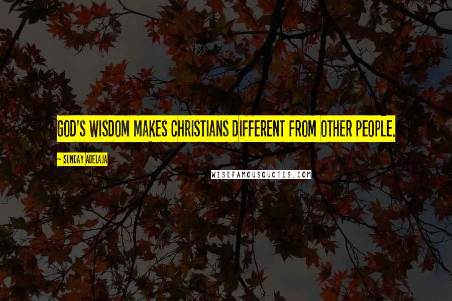 Sunday Adelaja Quotes: God's wisdom makes Christians different from other people.