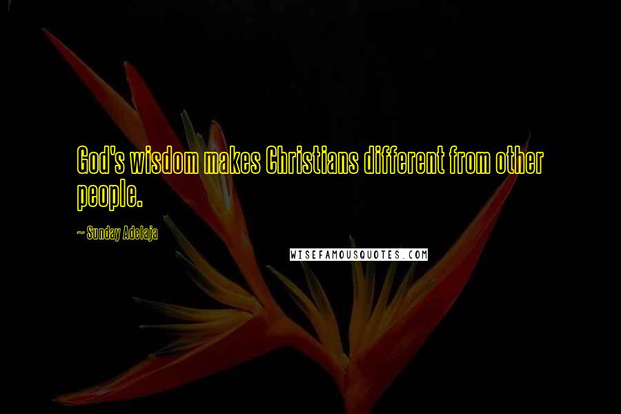 Sunday Adelaja Quotes: God's wisdom makes Christians different from other people.