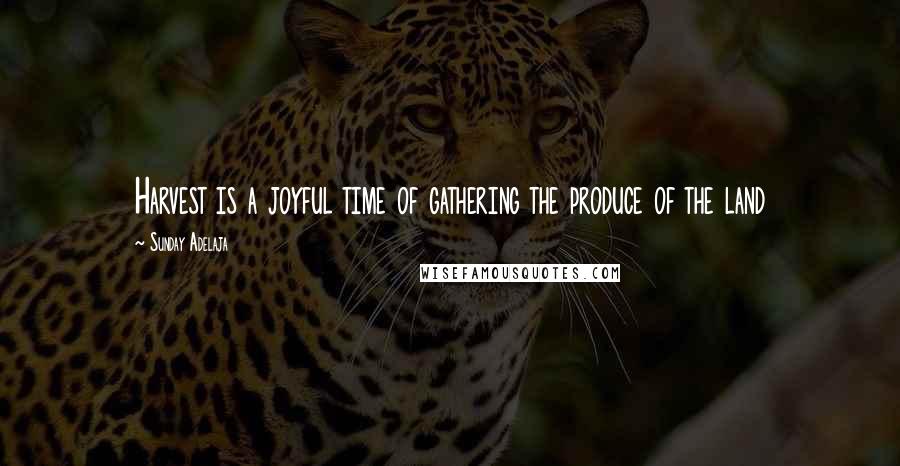 Sunday Adelaja Quotes: Harvest is a joyful time of gathering the produce of the land