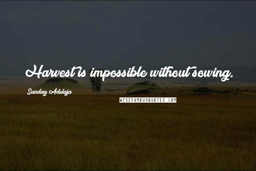 Sunday Adelaja Quotes: Harvest is impossible without sowing.