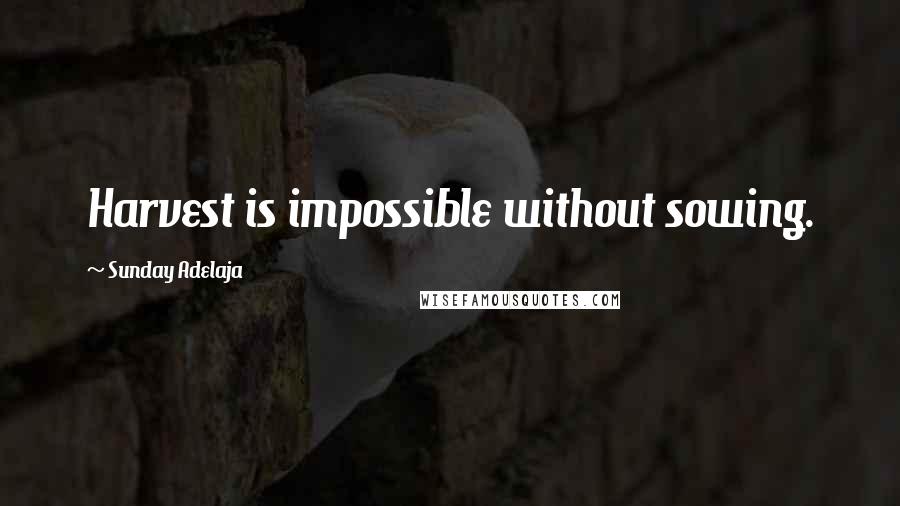 Sunday Adelaja Quotes: Harvest is impossible without sowing.
