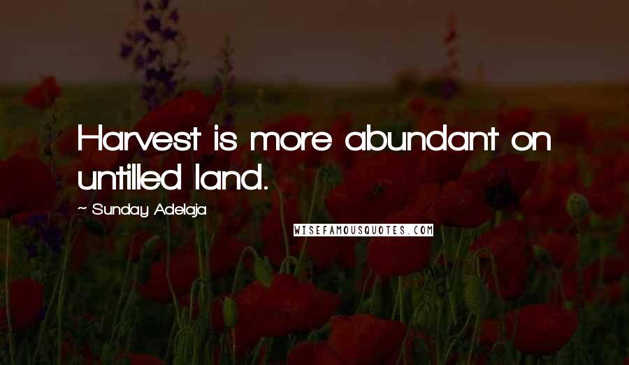 Sunday Adelaja Quotes: Harvest is more abundant on untilled land.