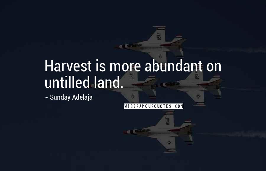 Sunday Adelaja Quotes: Harvest is more abundant on untilled land.