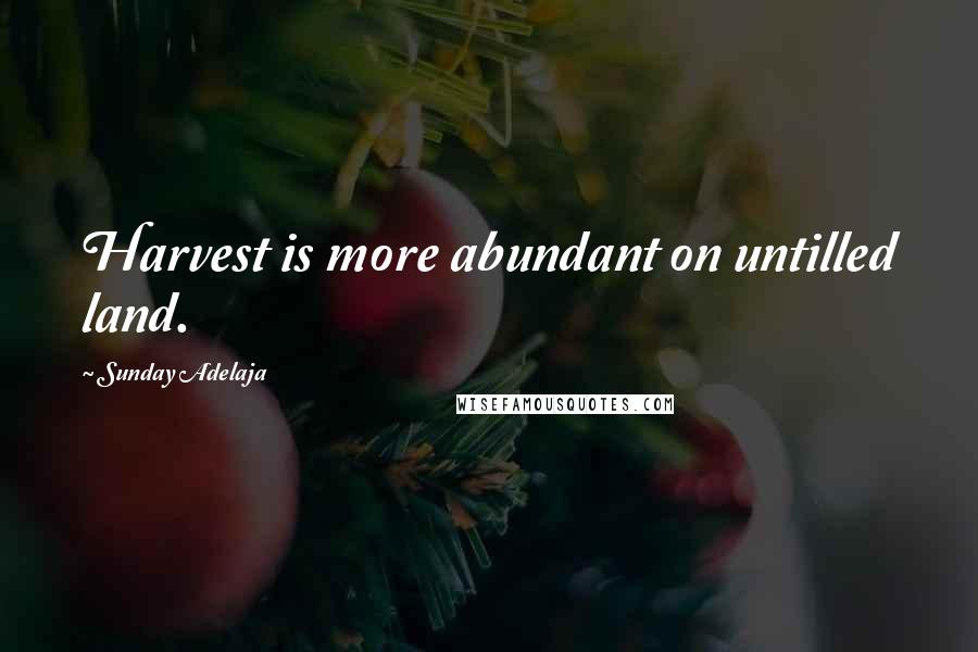 Sunday Adelaja Quotes: Harvest is more abundant on untilled land.