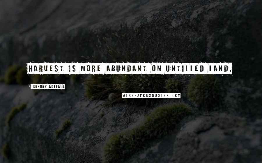 Sunday Adelaja Quotes: Harvest is more abundant on untilled land.