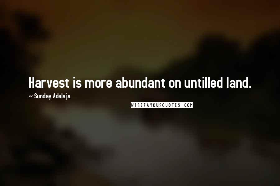 Sunday Adelaja Quotes: Harvest is more abundant on untilled land.