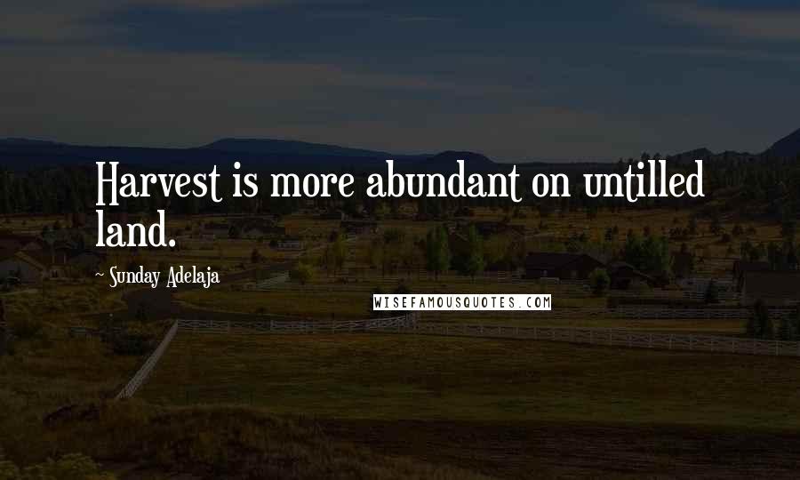 Sunday Adelaja Quotes: Harvest is more abundant on untilled land.