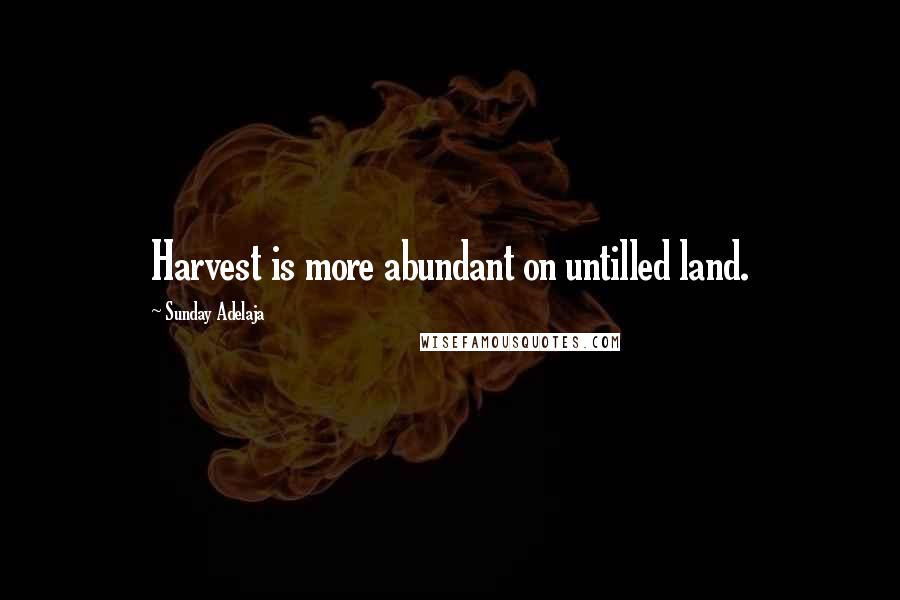 Sunday Adelaja Quotes: Harvest is more abundant on untilled land.