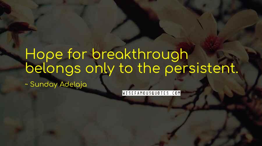 Sunday Adelaja Quotes: Hope for breakthrough belongs only to the persistent.