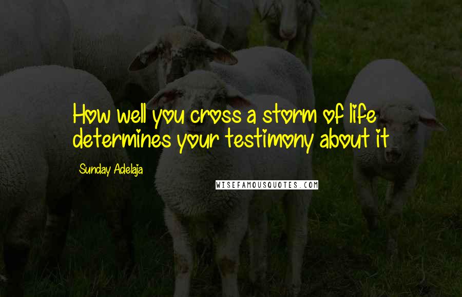 Sunday Adelaja Quotes: How well you cross a storm of life determines your testimony about it