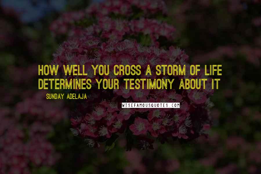 Sunday Adelaja Quotes: How well you cross a storm of life determines your testimony about it