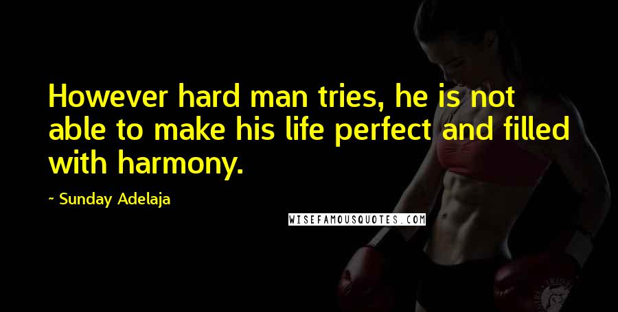 Sunday Adelaja Quotes: However hard man tries, he is not able to make his life perfect and filled with harmony.