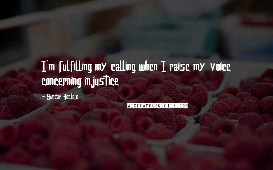 Sunday Adelaja Quotes: I'm fulfilling my calling when I raise my voice concerning injustice