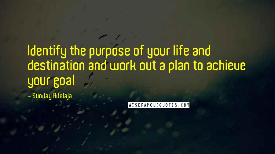 Sunday Adelaja Quotes: Identify the purpose of your life and destination and work out a plan to achieve your goal