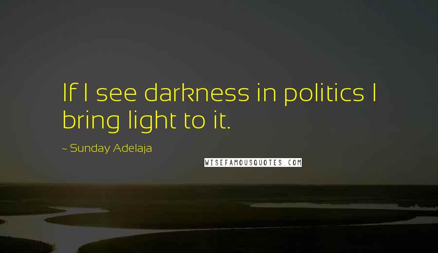 Sunday Adelaja Quotes: If I see darkness in politics I bring light to it.