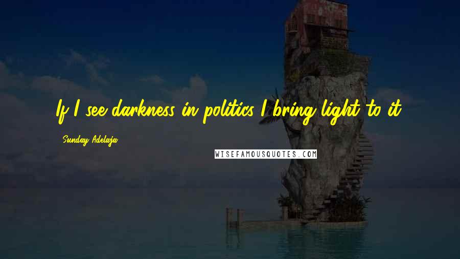 Sunday Adelaja Quotes: If I see darkness in politics I bring light to it.