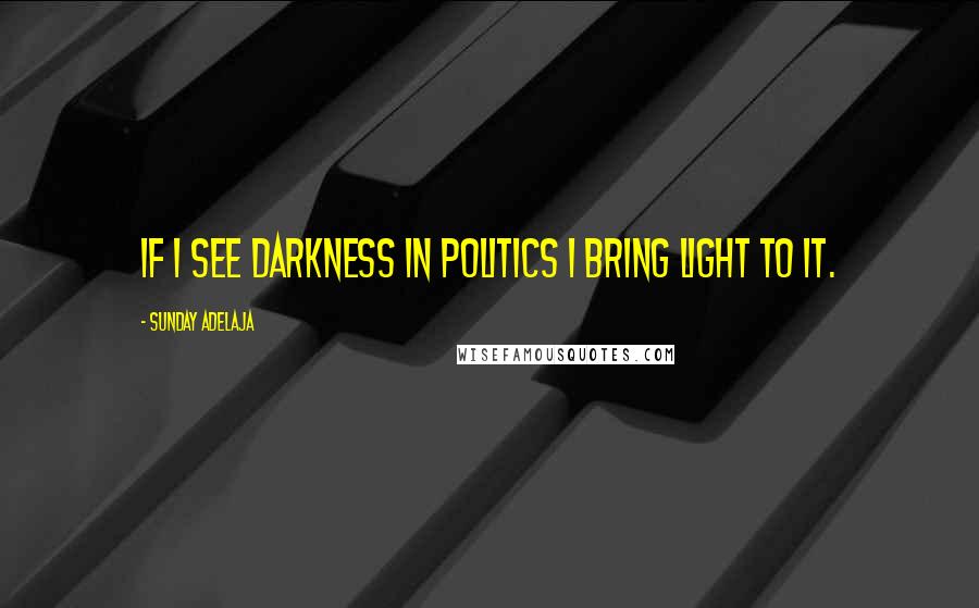 Sunday Adelaja Quotes: If I see darkness in politics I bring light to it.