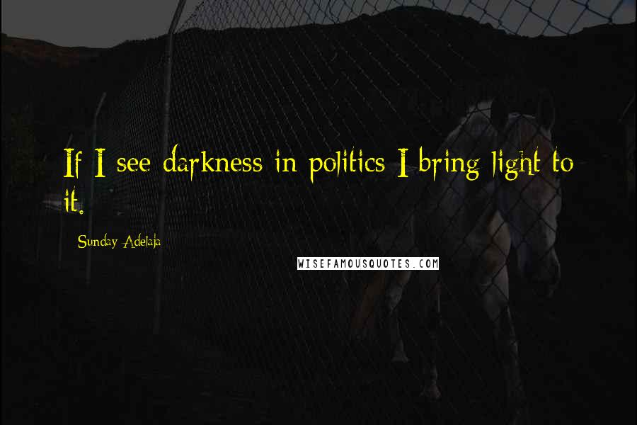 Sunday Adelaja Quotes: If I see darkness in politics I bring light to it.