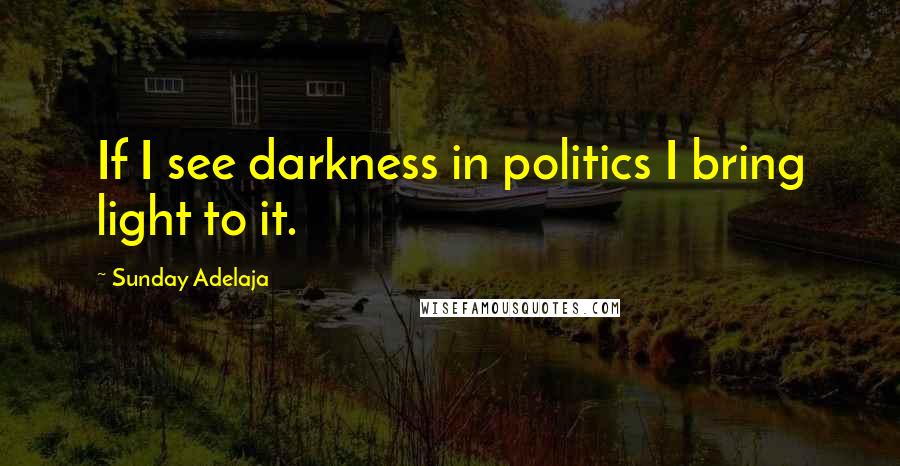 Sunday Adelaja Quotes: If I see darkness in politics I bring light to it.