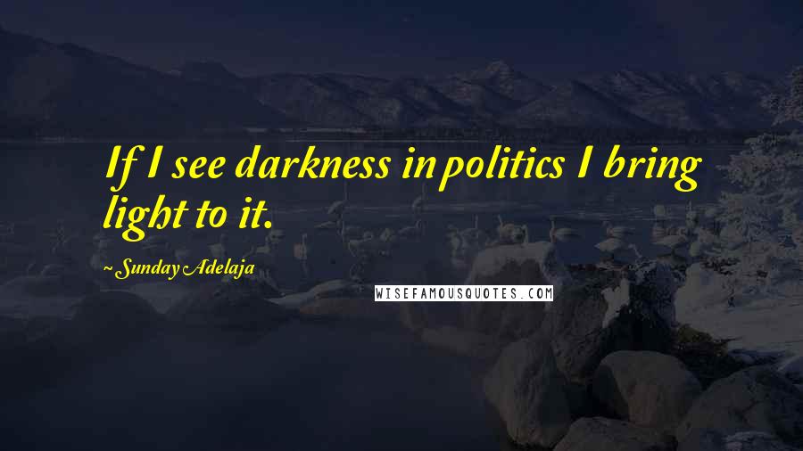Sunday Adelaja Quotes: If I see darkness in politics I bring light to it.
