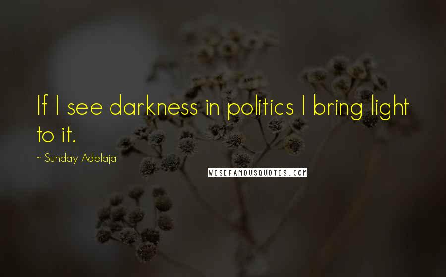 Sunday Adelaja Quotes: If I see darkness in politics I bring light to it.