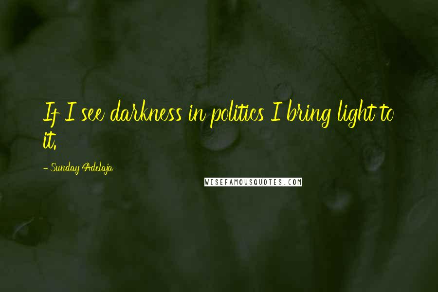 Sunday Adelaja Quotes: If I see darkness in politics I bring light to it.