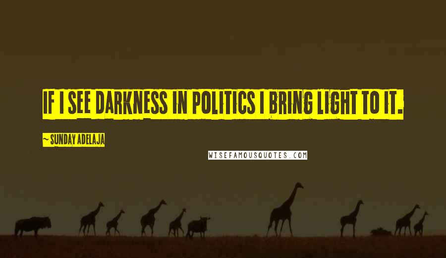 Sunday Adelaja Quotes: If I see darkness in politics I bring light to it.