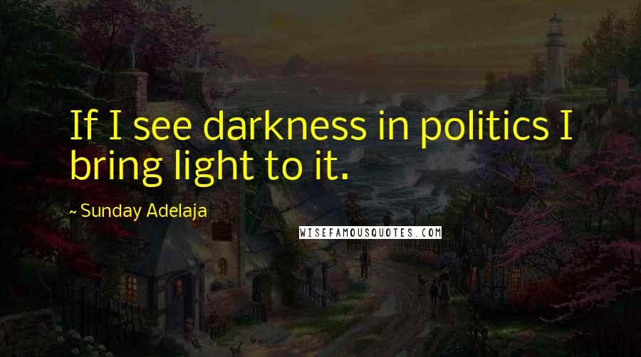 Sunday Adelaja Quotes: If I see darkness in politics I bring light to it.