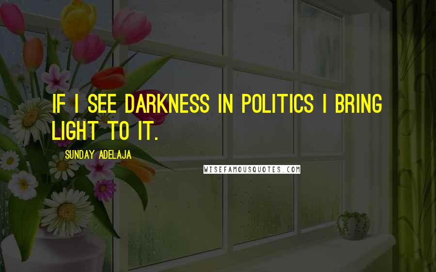 Sunday Adelaja Quotes: If I see darkness in politics I bring light to it.